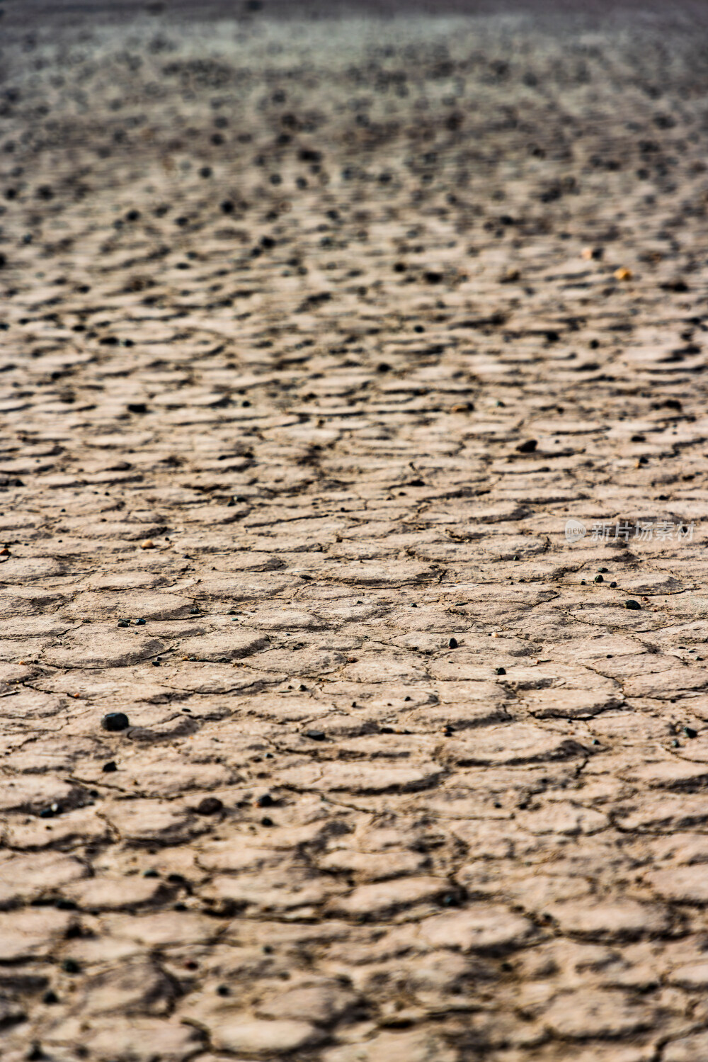 干涸龟裂的土地