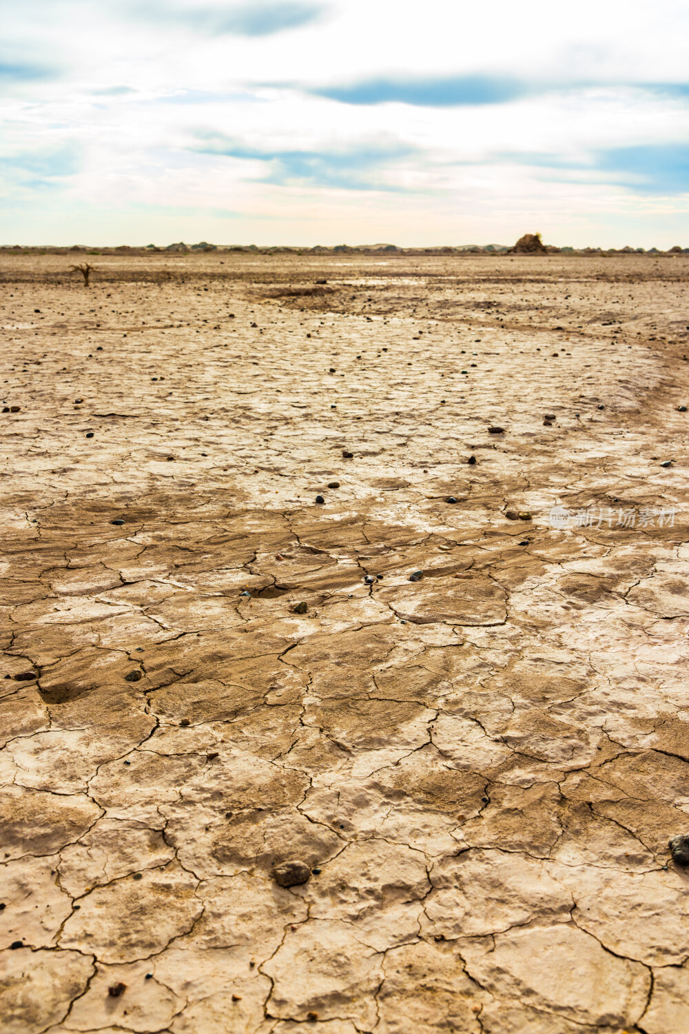 干旱龟裂的土地