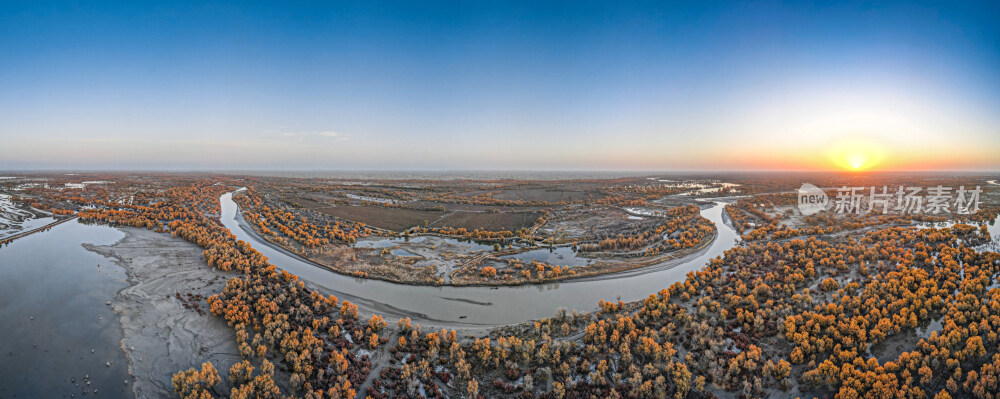 新疆巴音郭楞罗布人村寨日出时分的金黄的胡杨林