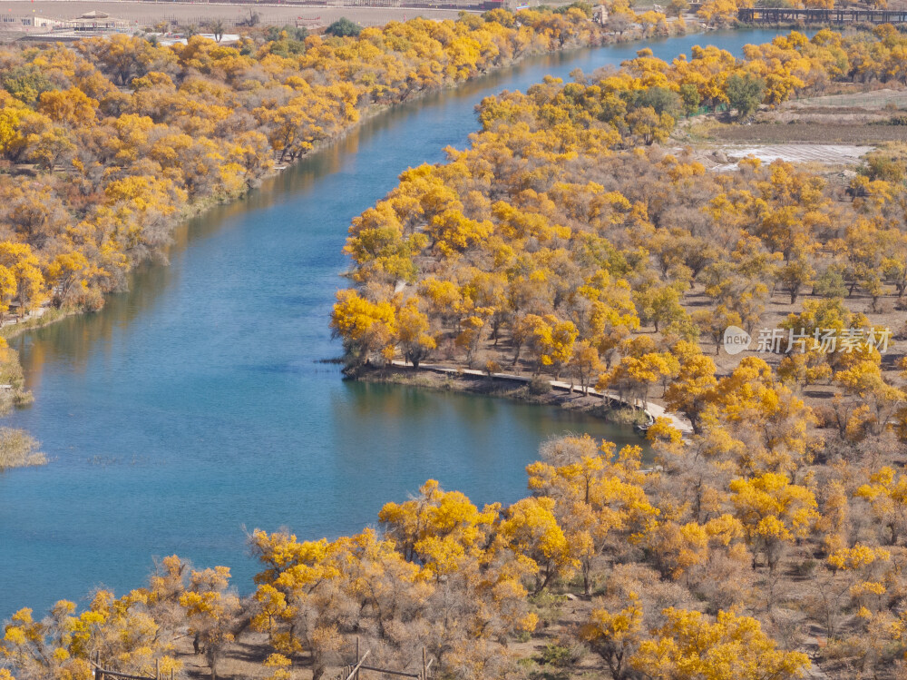 新疆南疆喀什巴楚红海胡杨林金秋尉头洲航拍