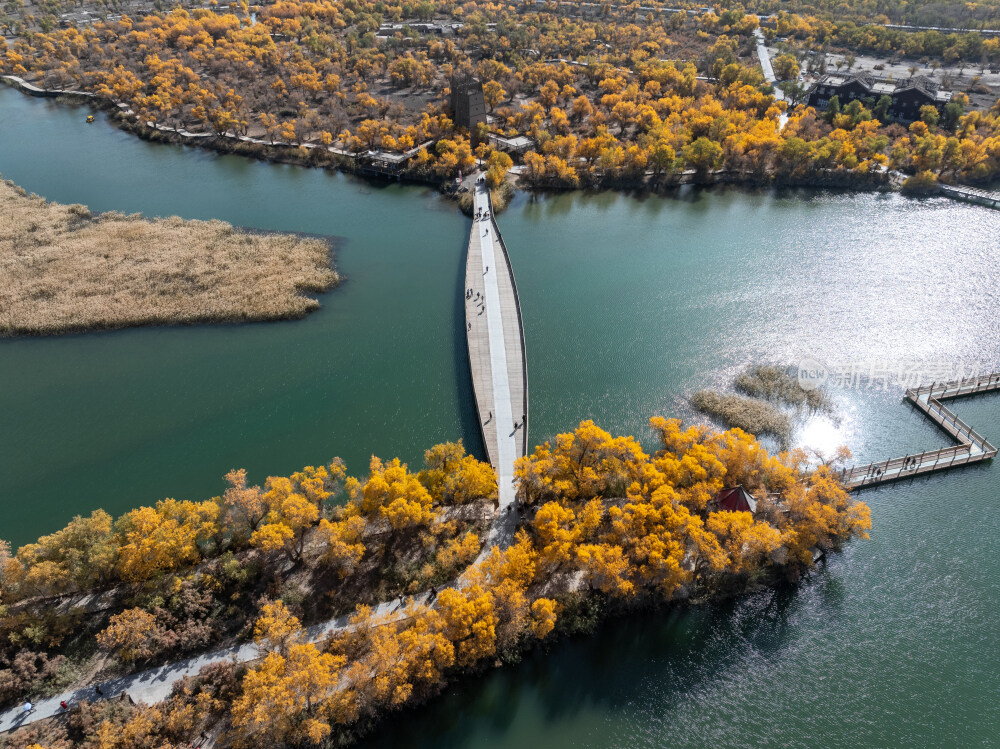 新疆南疆喀什巴楚红海胡杨林金秋尉头洲航拍
