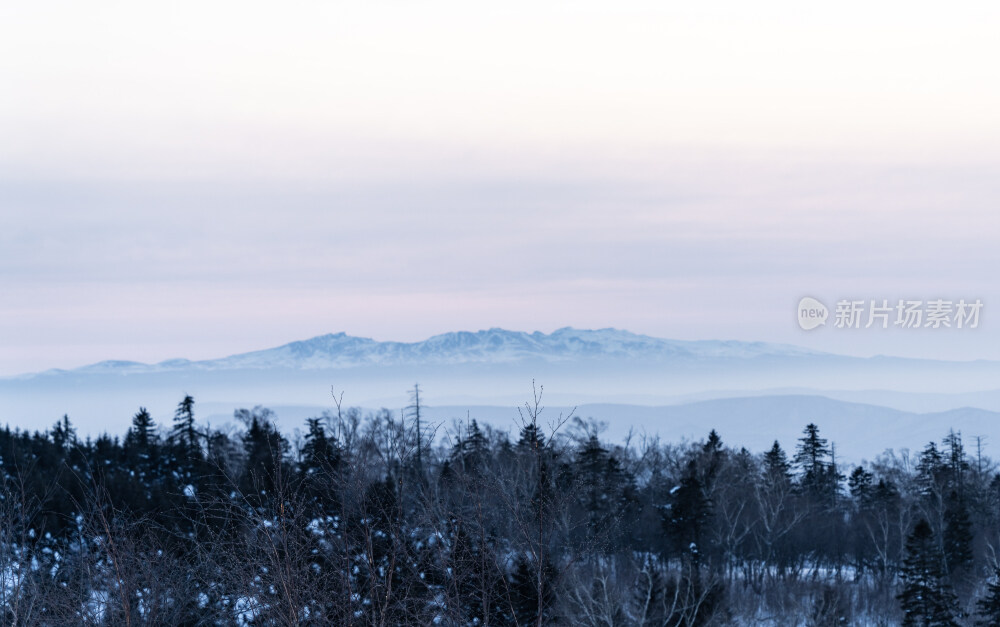 冬季长白山与森林风景图