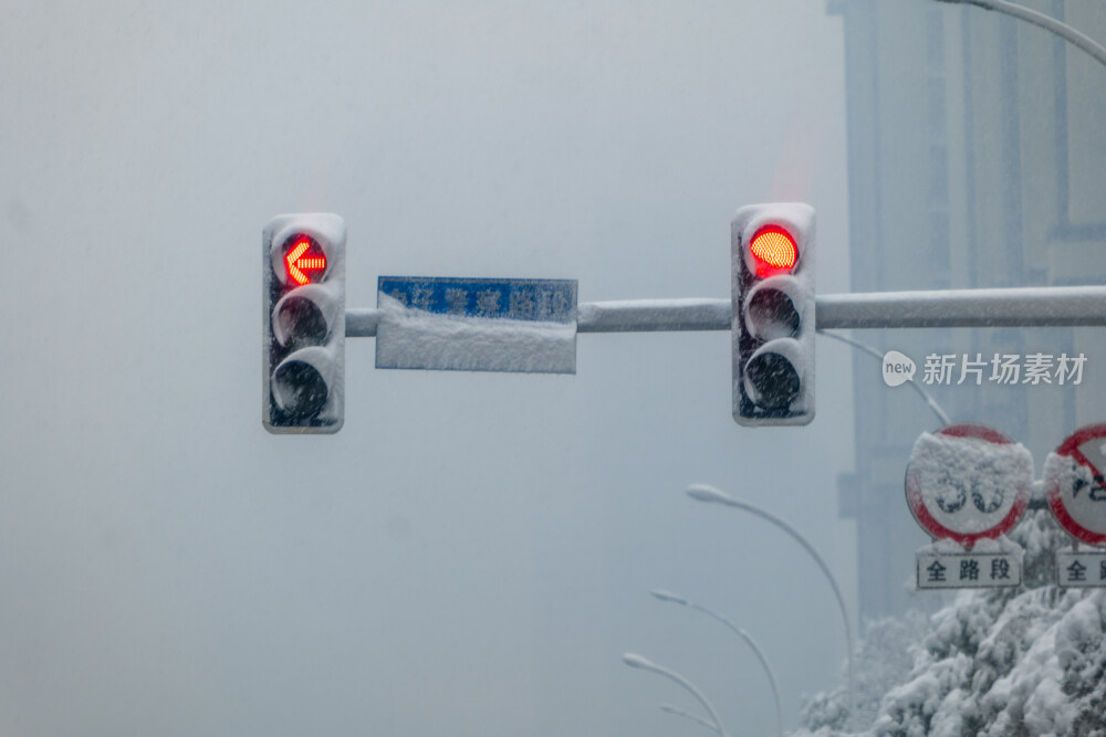 雪中的交通信号灯