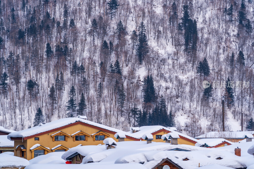 雪谷穿越羊草山到雪乡
