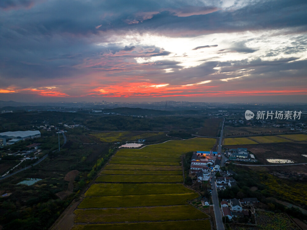 南京江宁美丽田园乡村麦田稻田航拍火烧云