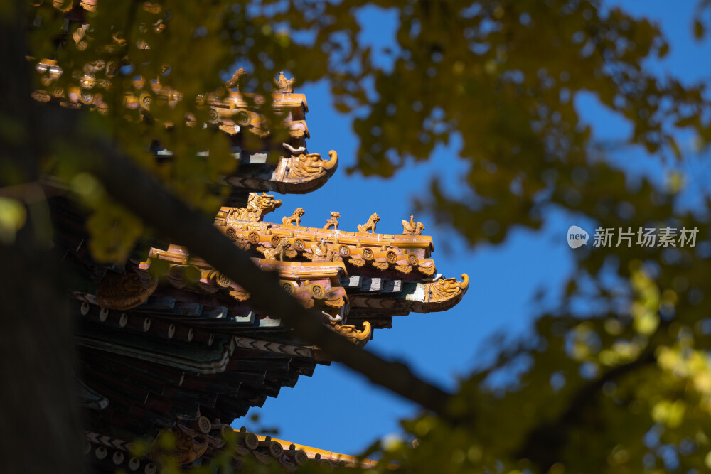 故宫秋景