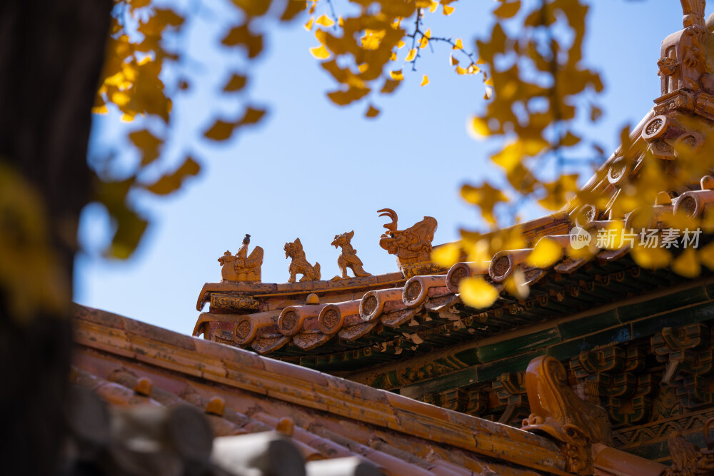 故宫秋景