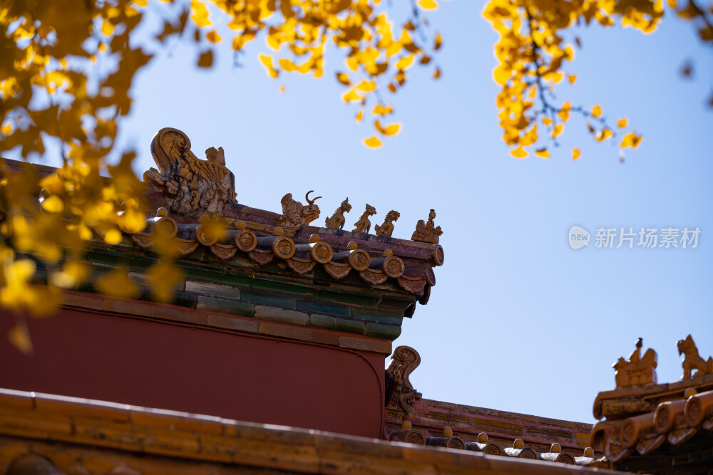故宫秋景