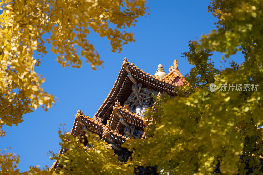 故宫秋景