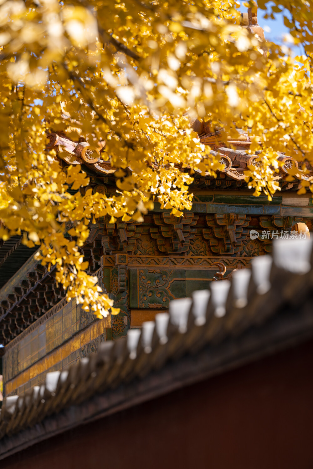 故宫秋景