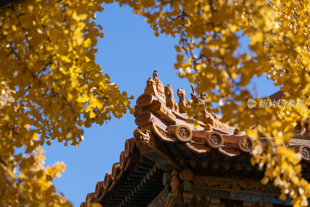 故宫秋景