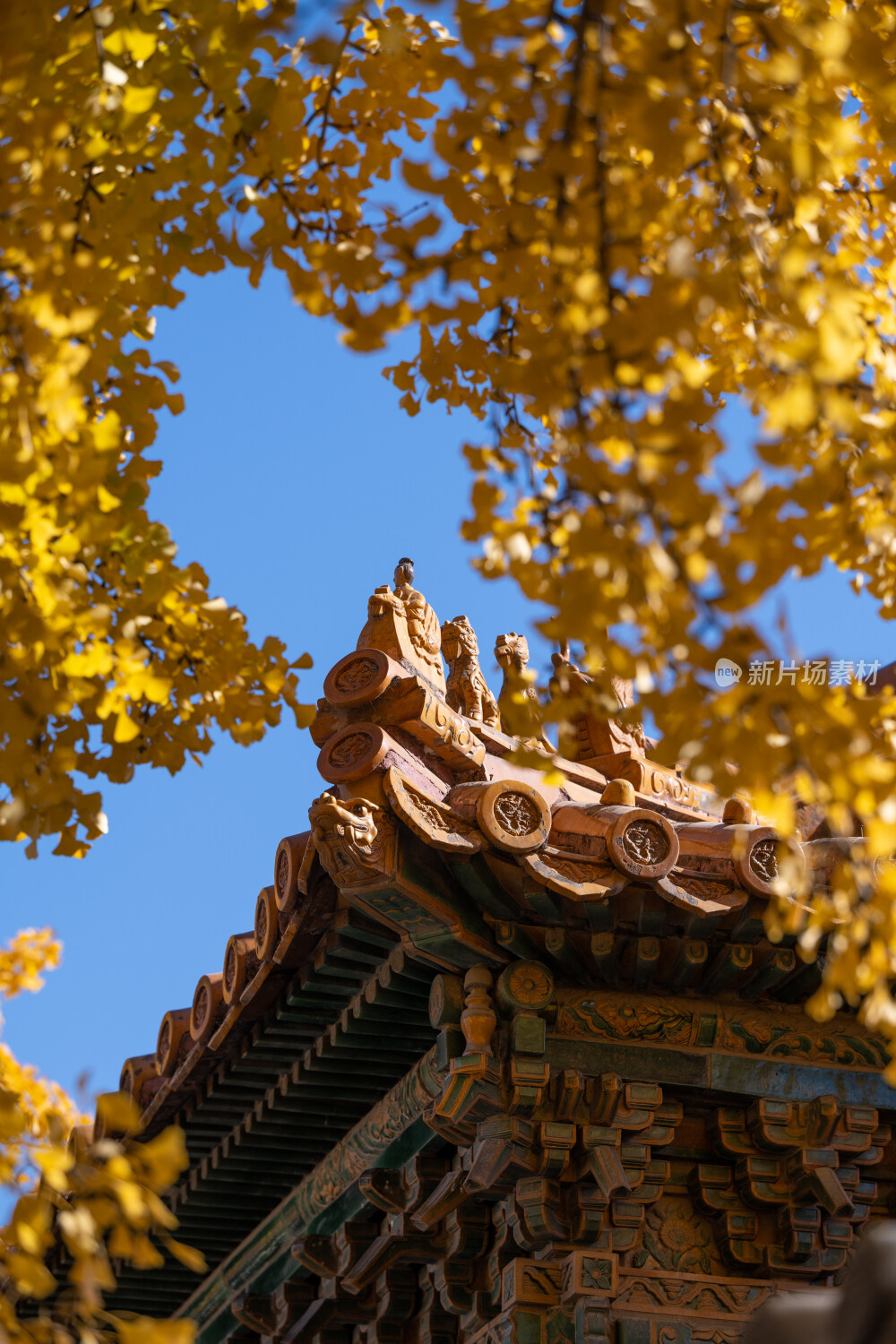 故宫秋景