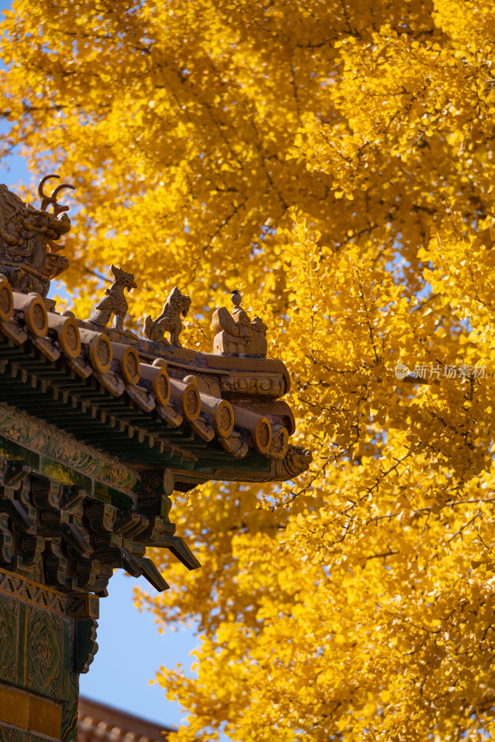 故宫秋景