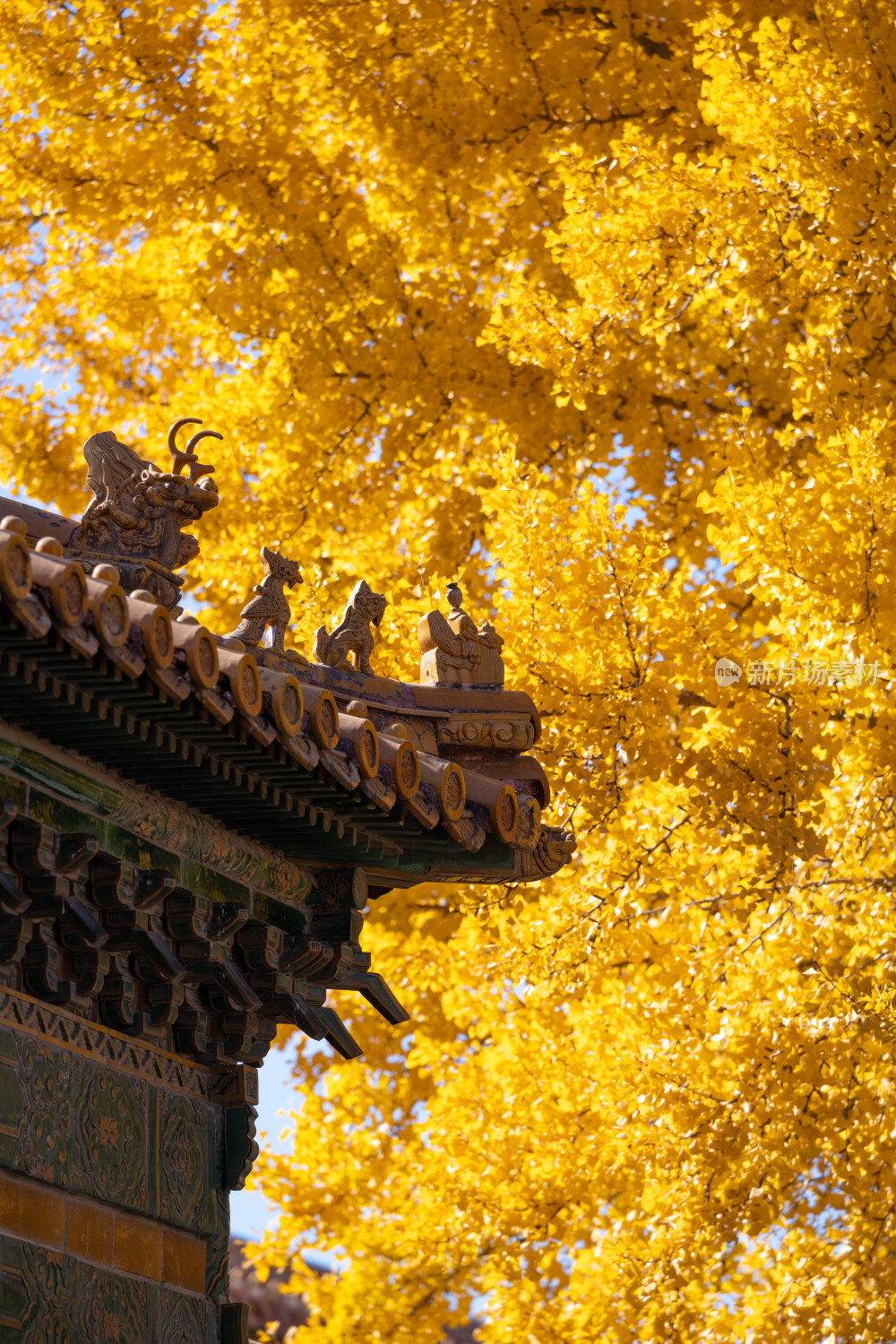 故宫秋景