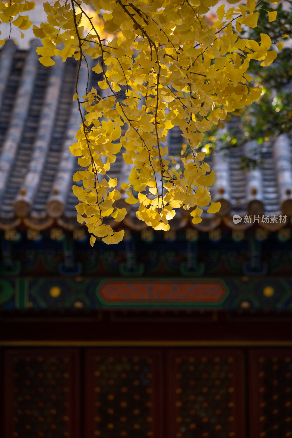 故宫秋景