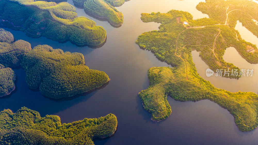 广西水库森林航拍风光