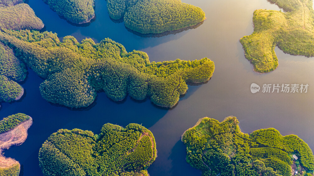 广西水库森林航拍风光