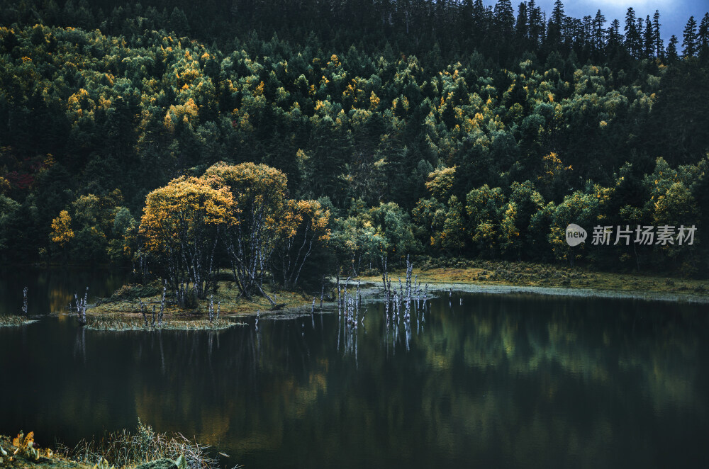 普达措国家森林公园