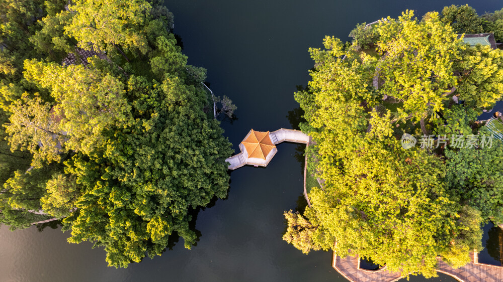 航拍茂名新湖公园