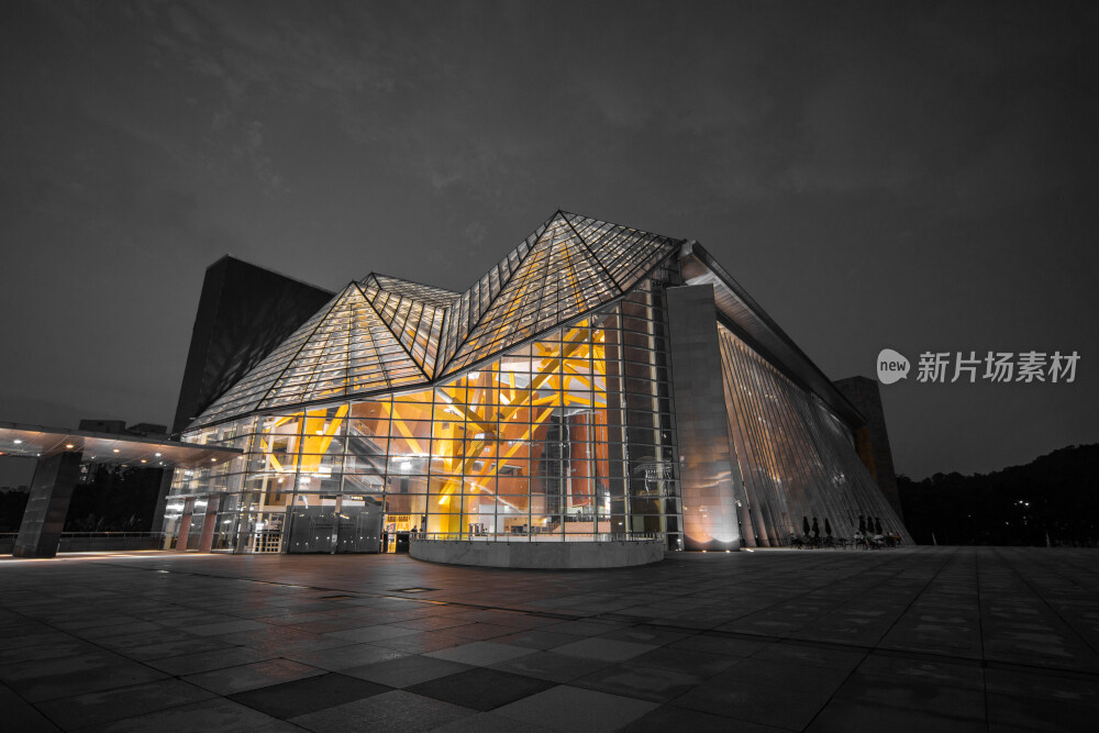 深圳音乐厅黑金夜景