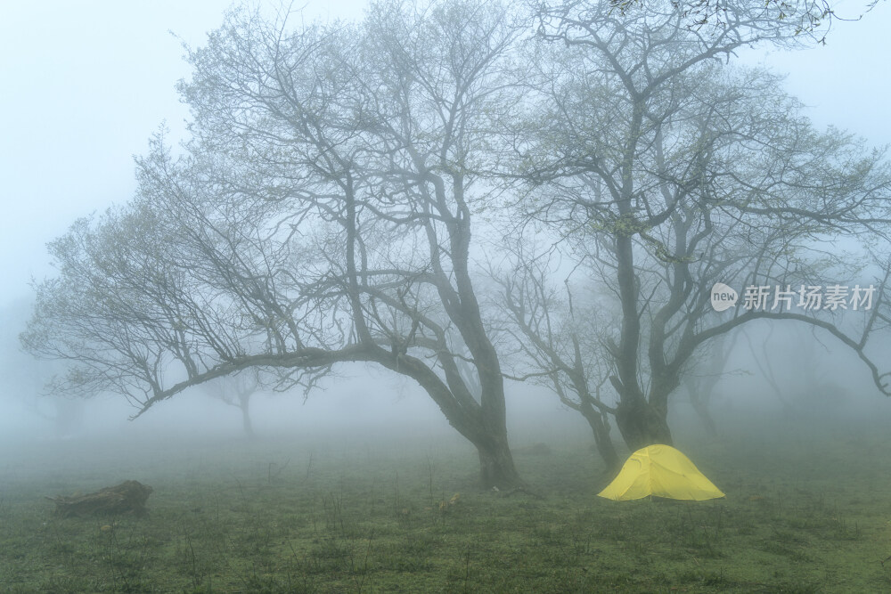 大雾弥漫的露营地