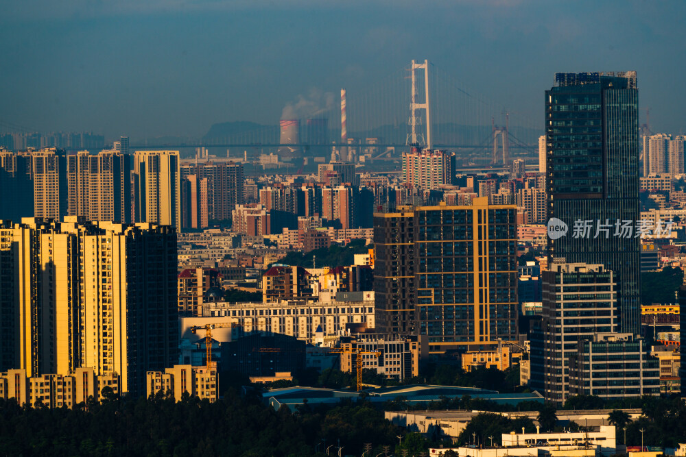 晨光中的东莞南城片区南沙大桥与广州番禺海鸥岛同框