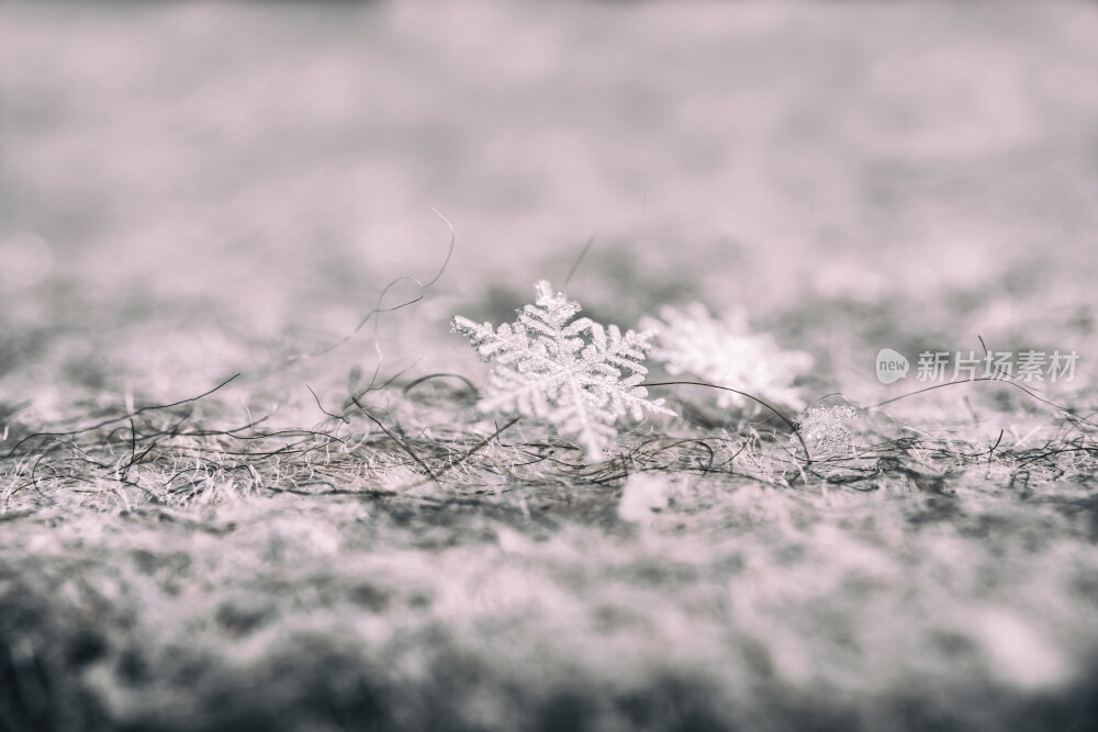 冬季户外雪花特写