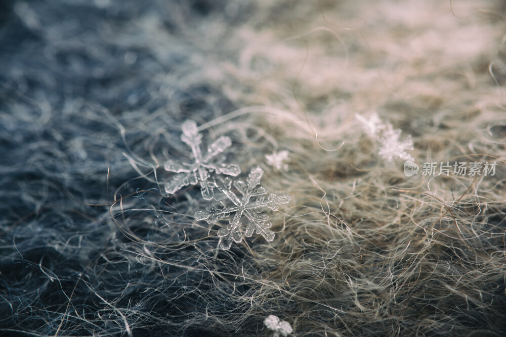 冬季户外雪花特写