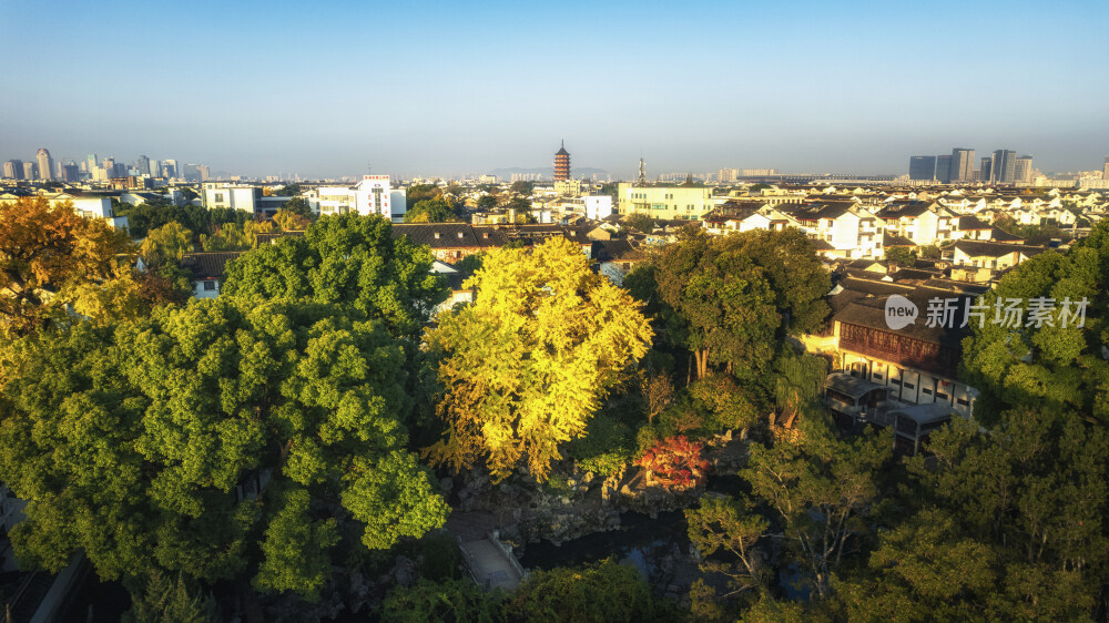 苏州园林狮子林秋景