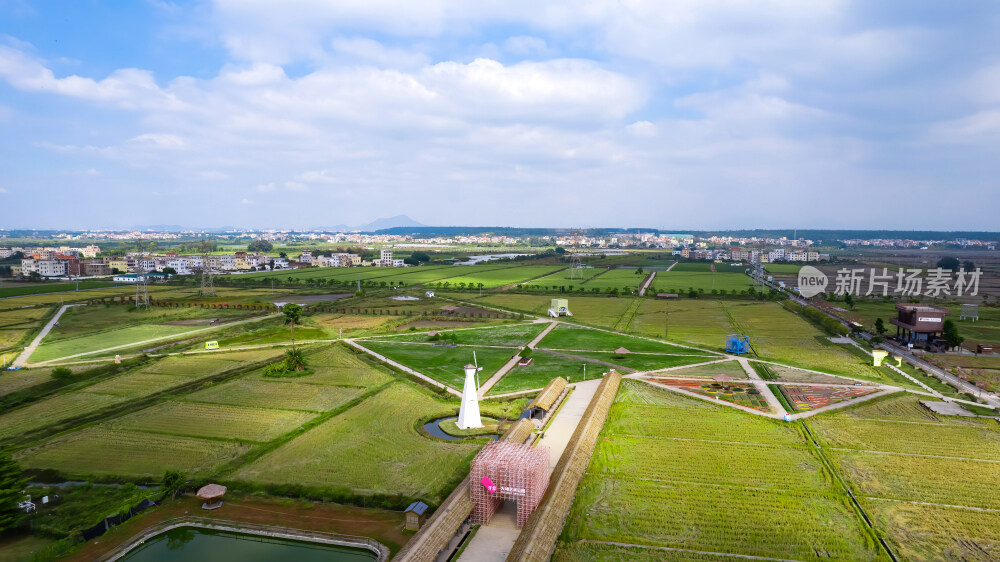 茂名牙象大地艺术公园航拍图