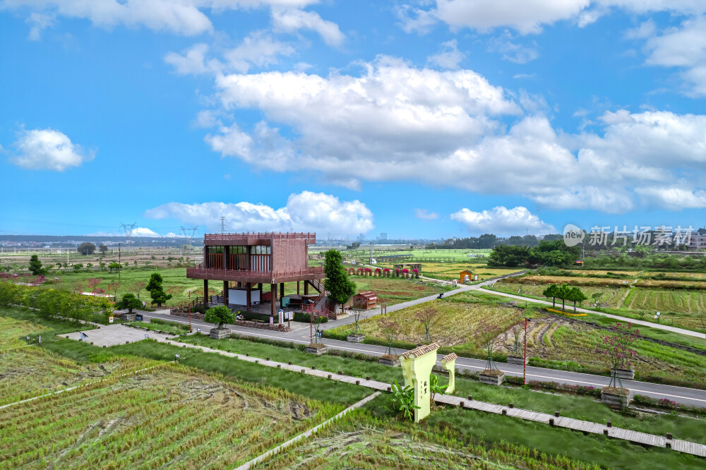 茂名牙象大地艺术公园航拍图