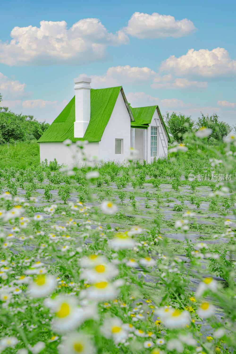蓝天白云下的花园小木屋