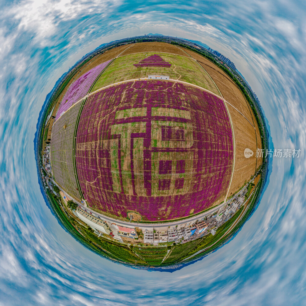 航拍珠海2022新春福花海