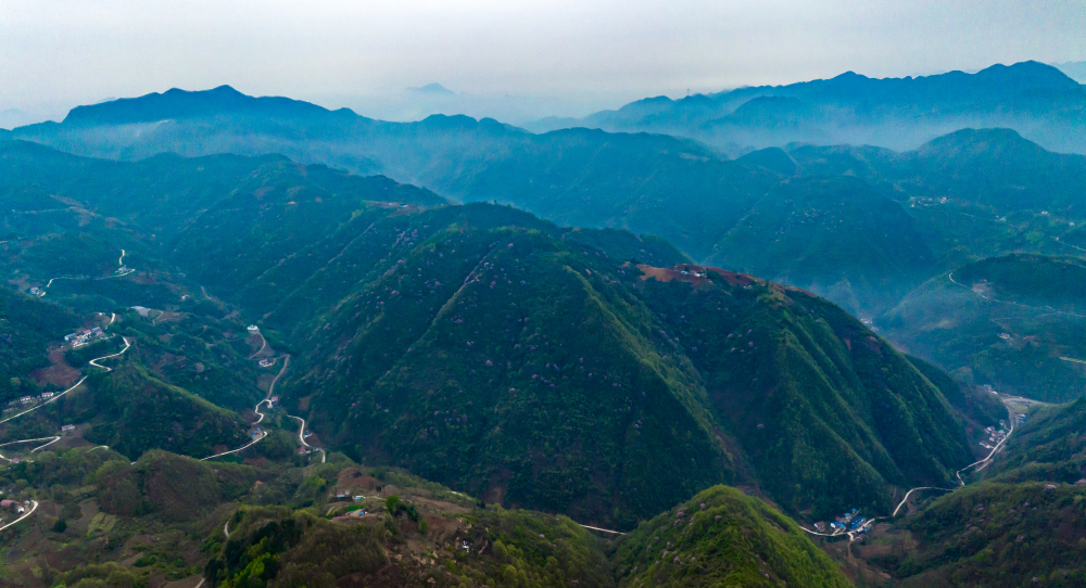 陕西安康市镇安县海棠山云海